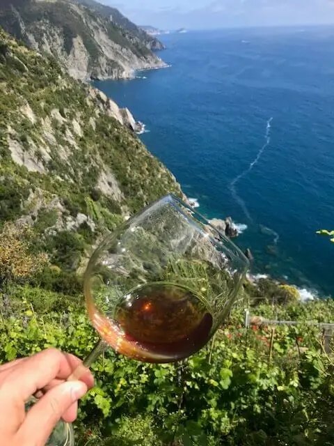 Calice di vino con panorama sulle vigne e sul mare delle Cinque Terre